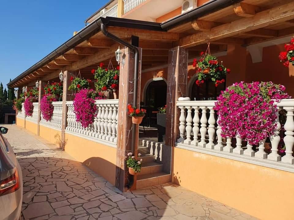 Villa Nikolina Medulin Extérieur photo
